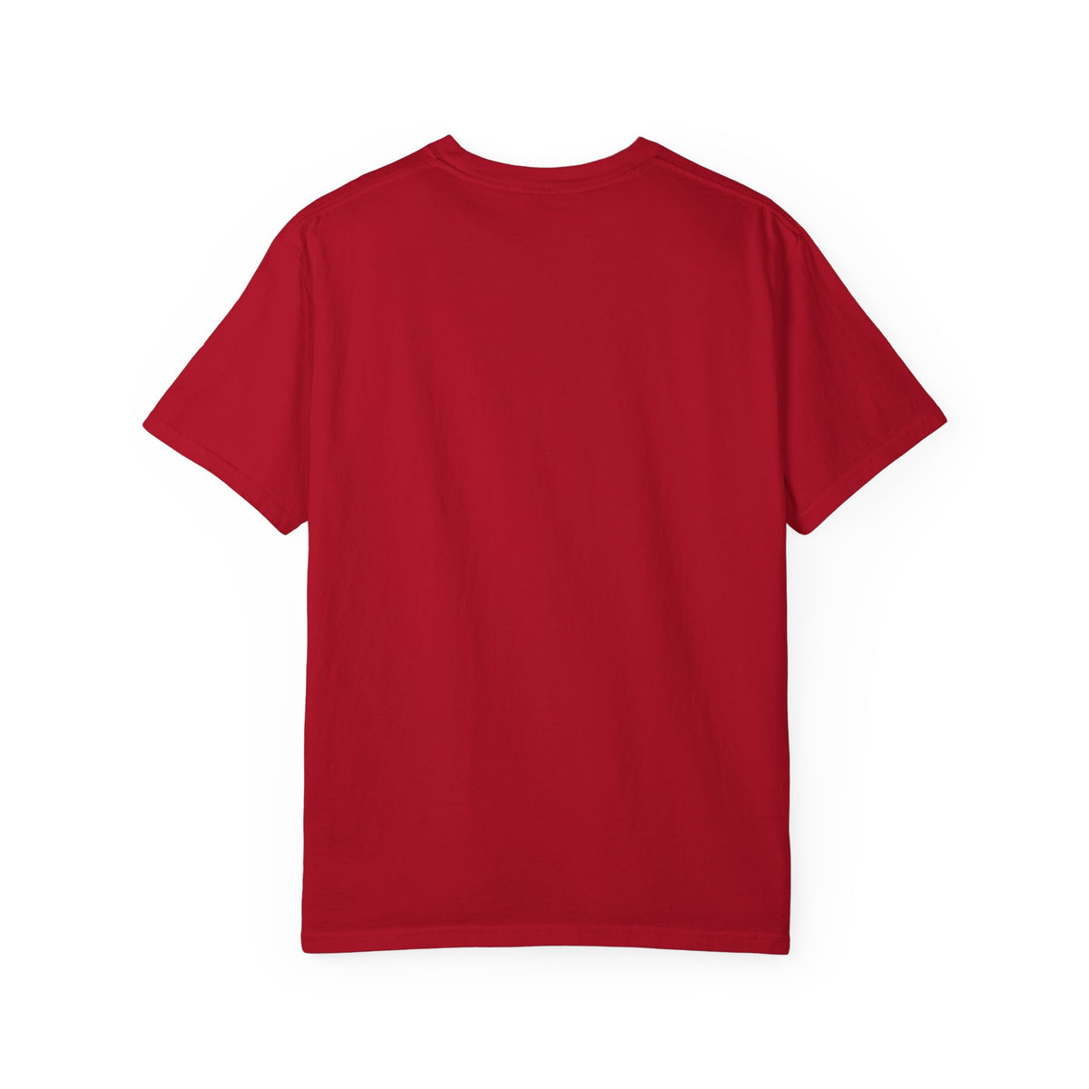 Santa & Sasquatch T-Shirt / Christmas Shirt / Bigfoot Tee