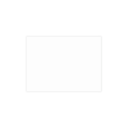 Retro Sasquatch Art Postcard Bundles (envelopes included)